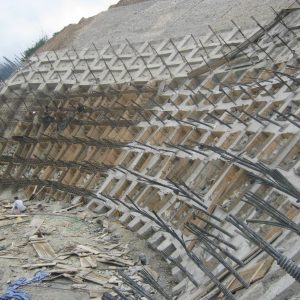 NEO DỰ ỨNG LỰC HÀN QUỐC