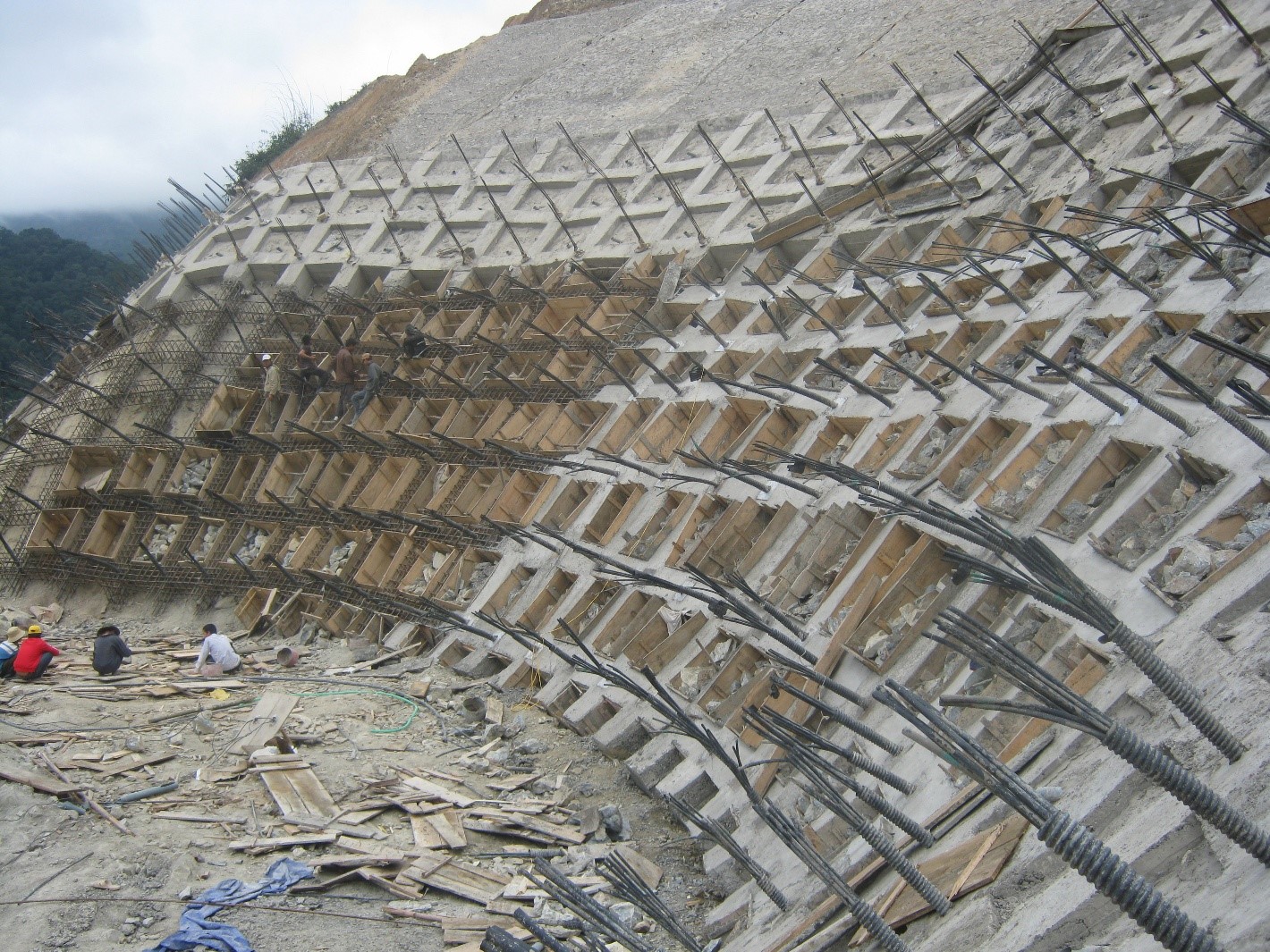 NEO DỰ ỨNG LỰC HÀN QUỐC